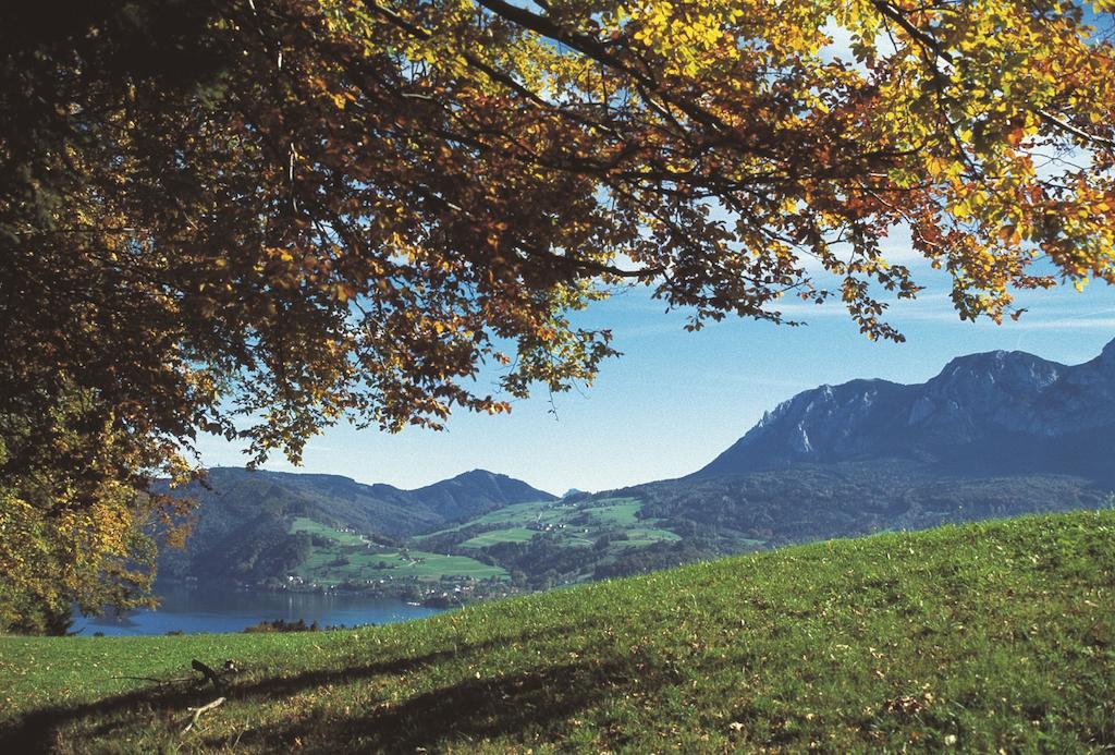 Hotel Haus Gruber Attersee Exterior foto